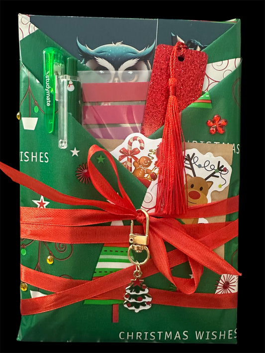 🎄 "Merry Lit-Mas: A Blind Date with a Book" 🎁